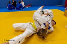 26.01.2026 Kyu-Prüfung